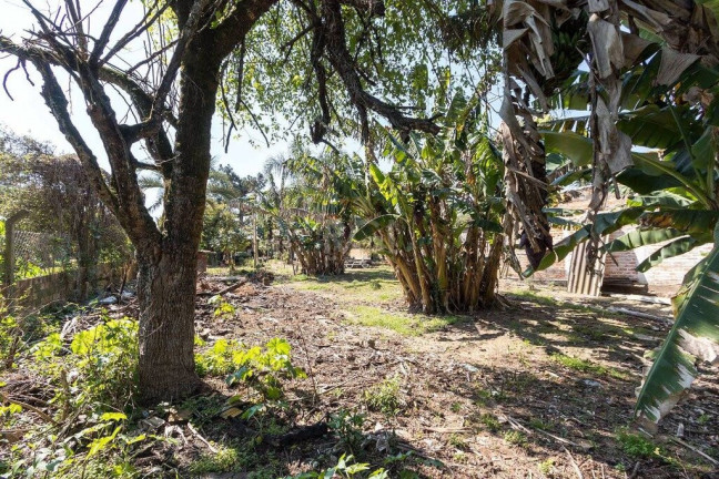 Imagem Terreno à Venda, 345 m² em Chapéu Do Sol - Porto Alegre Imagem Terreno à Venda, 345 m² em Chapéu Do Sol - Porto Alegre