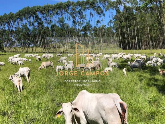 Imagem Fazenda à Venda, 133 m² em área Rural De Guaratinguetá - Guaratinguetá Imagem Fazenda à Venda, 133 m² em área Rural De Guaratinguetá - Guaratinguetá