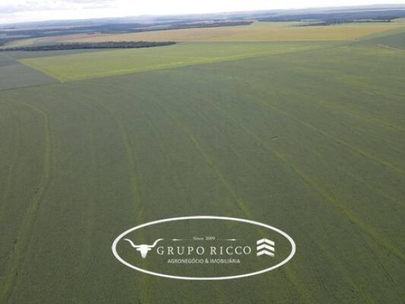 Fazenda à Venda, 866 m² em Zona Rural - Novo São Joaquim