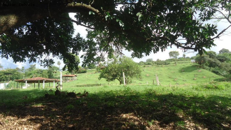 Imagem Fazenda à Venda, 6 m² em Azurita - Mateus Leme Imagem Fazenda à Venda, 6 m² em Azurita - Mateus Leme