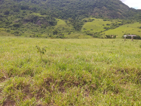Imagem Fazenda à Venda, 1.930.000 m² em Centro - Trajano De Morais