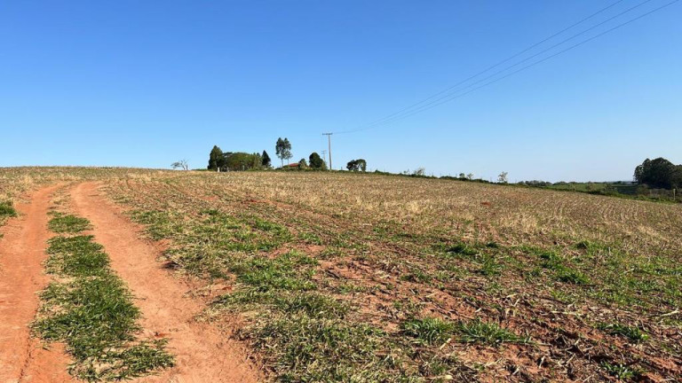 Imagem Fazenda à Venda, 95 m² em Rural - Paranapanema Imagem Fazenda à Venda, 95 m² em Rural - Paranapanema