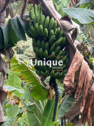 Imagem Chácara com 5 Quartos à Venda, 500 m² em Mury - Nova Friburgo