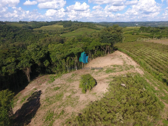 Imagem Terreno à Venda, 20.000 m² em Linha Palmeiro - Pinto Bandeira Imagem Terreno à Venda, 20.000 m² em Linha Palmeiro - Pinto Bandeira
