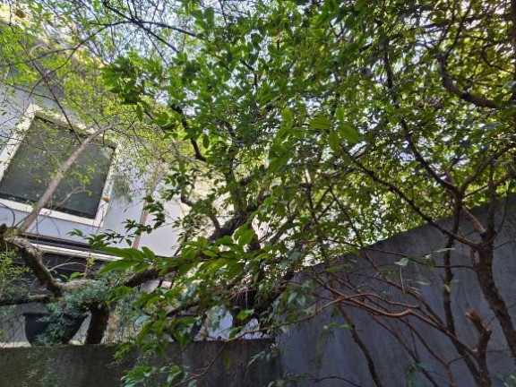 Imagem Imóvel Comercial à Venda, 190 m² em Vila Uberabinha - São Paulo Imagem Imóvel Comercial à Venda, 190 m² em Vila Uberabinha - São Paulo