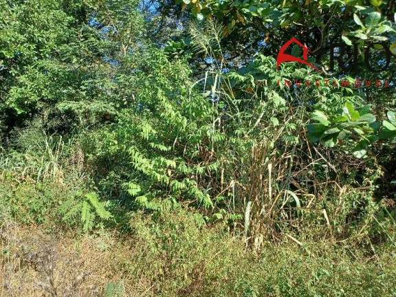 Imagem Terreno à Venda, 89.345 m² em Santa Cruz - Rio De Janeiro Imagem Terreno à Venda, 89.345 m² em Santa Cruz - Rio De Janeiro