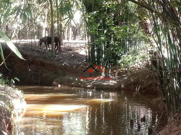 Imagem Fazenda à Venda, 360 m² em Sao Lourenco - São Lourenço Imagem Fazenda à Venda, 360 m² em Sao Lourenco - São Lourenço