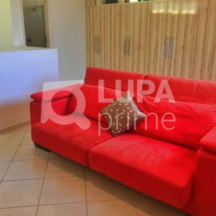 Imagem Casa com 4 Quartos à Venda, 370 m² em Jardim Franca - São Paulo Imagem Casa com 4 Quartos à Venda, 370 m² em Jardim Franca - São Paulo