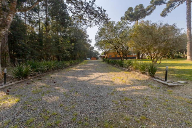 Imagem Imóvel com 4 Quartos à Venda, 37.906 m² em Ouro Verde - Campo Largo