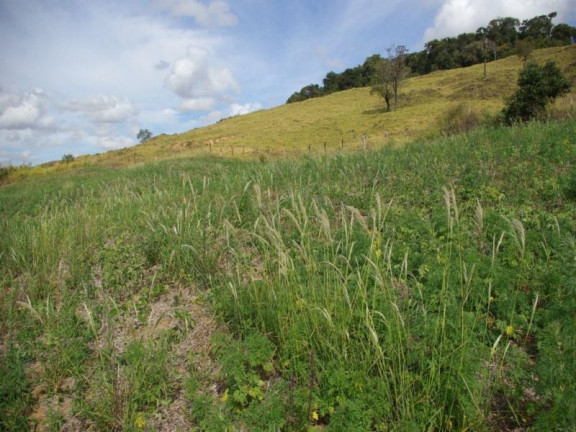 Imagem Imóvel à Venda, 435.600 m² em Zona Rural - Jacui Imagem Imóvel à Venda, 435.600 m² em Zona Rural - Jacui
