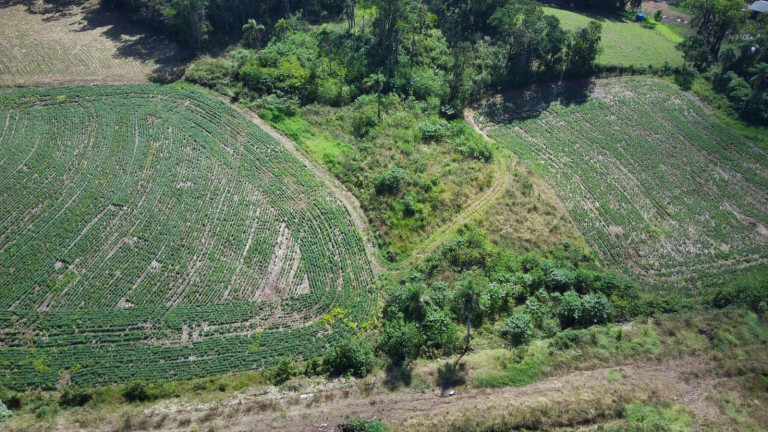 Imagem Terreno à Venda, 3.500 m² em Arvoredo - Concórdia Imagem Terreno à Venda, 3.500 m² em Arvoredo - Concórdia