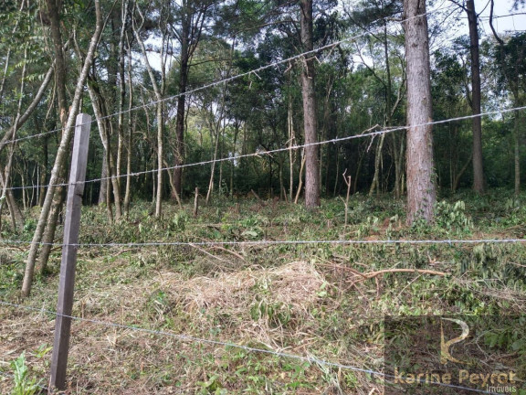 Imagem Terreno à Venda, 250 m² em Campestre - São Leopoldo Imagem Terreno à Venda, 250 m² em Campestre - São Leopoldo