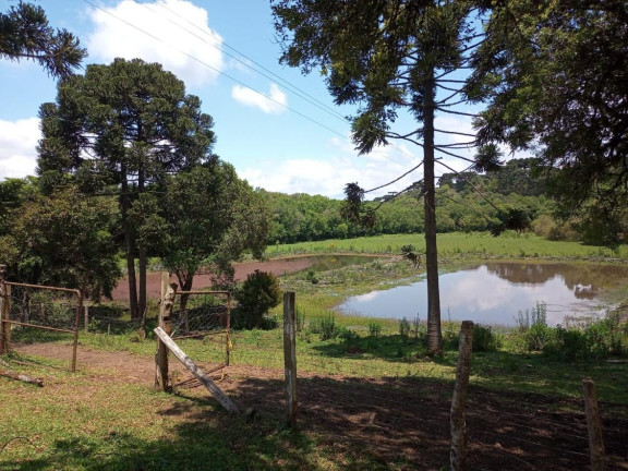 Imagem Chácara à Venda, em Centro - Mandirituba Imagem Chácara à Venda, em Centro - Mandirituba