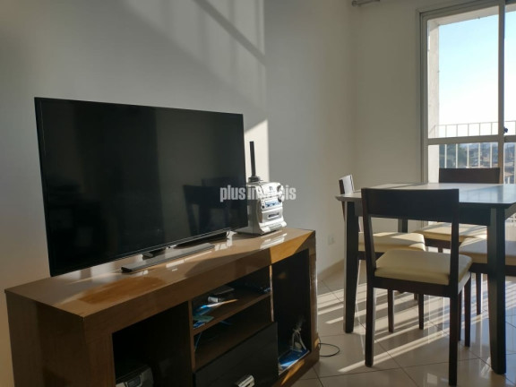 Apartamento com 2 Quartos à Venda, 45 m² em Vila Campestre - São Paulo