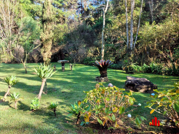 Imagem Casa com 5 Quartos à Venda, 20.480 m² em Sertãozinho - Santo Antônio Do Pinhal Imagem Casa com 5 Quartos à Venda, 20.480 m² em Sertãozinho - Santo Antônio Do Pinhal