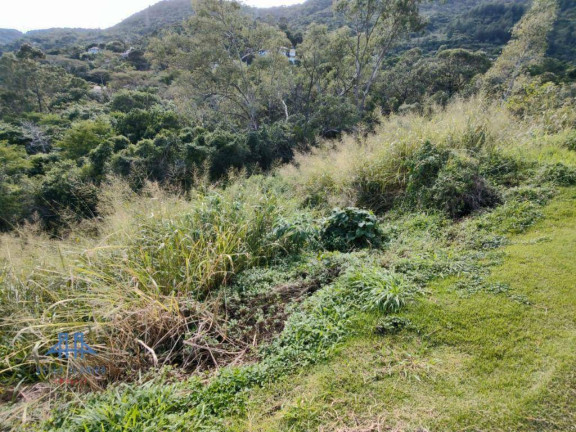Imagem Terreno à Venda, 533 m² em Itacorubi - Florianópolis