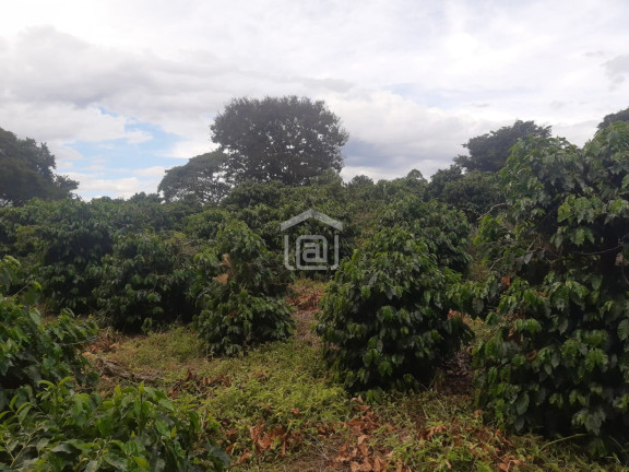 Imagem Imóvel à Venda, 30.000 m² em Conceição (rural) - Palmeiral Imagem Imóvel à Venda, 30.000 m² em Conceição (rural) - Palmeiral