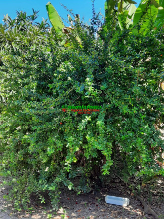 Imagem Chácara à Venda, 20.800 m² em Chácara Marambaia - Caçapava Imagem Chácara à Venda, 20.800 m² em Chácara Marambaia - Caçapava