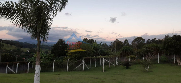Imagem Imóvel com 4 Quartos à Venda, 5.000 m² em Morro Grande Da Boa Vista - Bragança Paulista