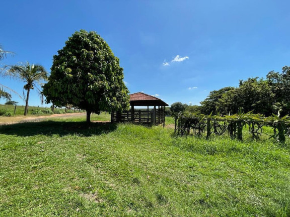 Imagem Imóvel à Venda, 25 m² em área Rural De São José Do Rio Preto - São José Do Rio Preto Imagem Imóvel à Venda, 25 m² em área Rural De São José Do Rio Preto - São José Do Rio Preto