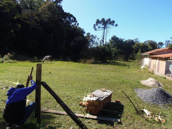 Imagem Terreno à Venda, 515 m² em Bateias - Campo Largo Imagem Terreno à Venda, 515 m² em Bateias - Campo Largo