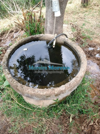 Imagem Imóvel à Venda, 5 m² em Zona Rural - Borda Da Mata Imagem Imóvel à Venda, 5 m² em Zona Rural - Borda Da Mata