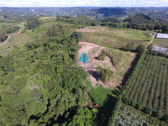 Imagem Terreno à Venda, 20.000 m² em Linha Palmeiro - Pinto Bandeira Imagem Terreno à Venda, 20.000 m² em Linha Palmeiro - Pinto Bandeira