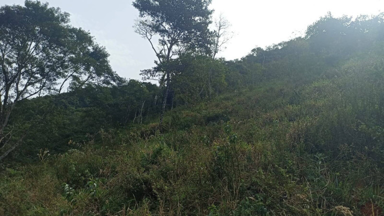 Imagem Chácara com 2 Quartos à Venda, 100 m² em Centro (são Francisco Xavier) - São José Dos Campos