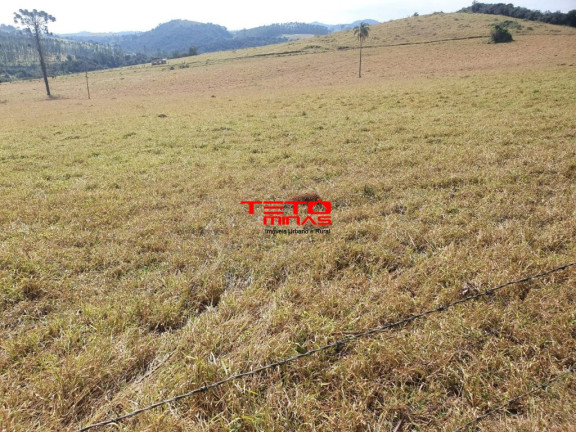 Imagem Imóvel à Venda, 360 m² em Zona Rural - Poços De Caldas Imagem Imóvel à Venda, 360 m² em Zona Rural - Poços De Caldas