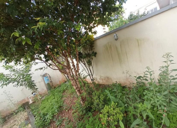 Imagem Casa com 3 Quartos para Alugar, 215 m² em Ponta Da Praia - Santos Imagem Casa com 3 Quartos para Alugar, 215 m² em Ponta Da Praia - Santos