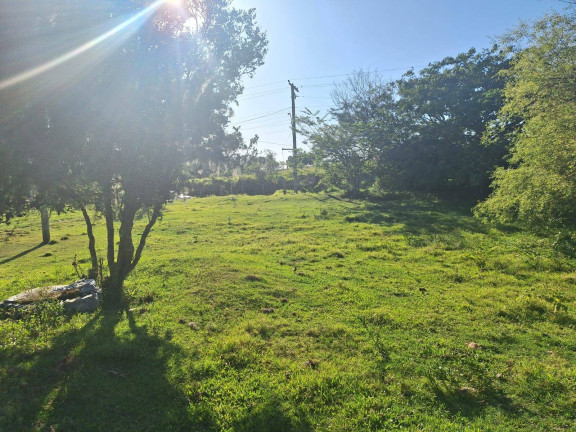 Imagem Chácara com 3 Quartos à Venda, 3.000 m² em Lombas - Viamão
