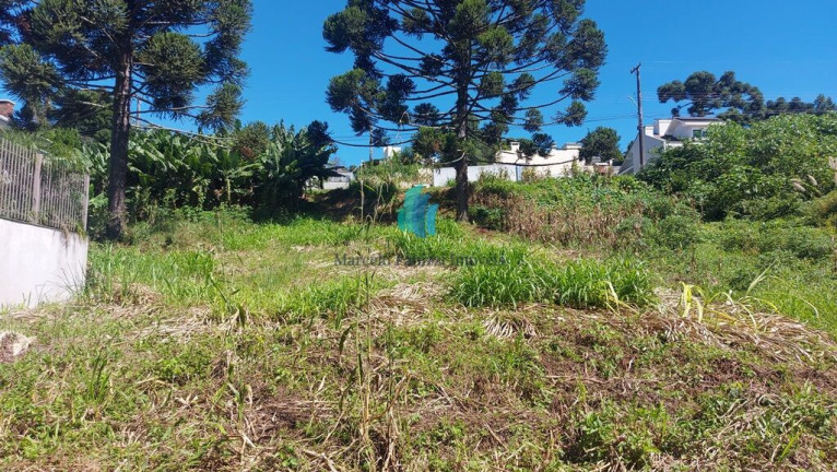 Imagem Terreno à Venda, 591 m² em Santo Antão - Bento Gonçalves Imagem Terreno à Venda, 591 m² em Santo Antão - Bento Gonçalves