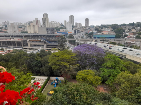 Imagem Apartamento com 3 Quartos à Venda, 115 m² em Jardim Aeroporto - São Paulo Imagem Apartamento com 3 Quartos à Venda, 115 m² em Jardim Aeroporto - São Paulo