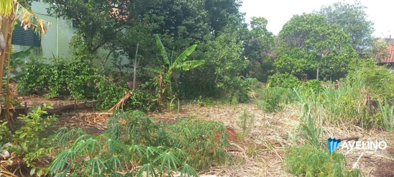Imagem Terreno à Venda, 1.320 m² em Monte Castelo - Campo Grande Imagem Terreno à Venda, 1.320 m² em Monte Castelo - Campo Grande