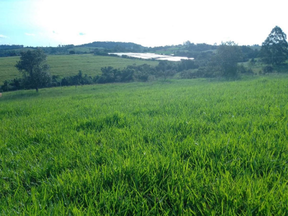 Imagem Chácara à Venda, 16 m² em Rural - Itapetininga Imagem Chácara à Venda, 16 m² em Rural - Itapetininga