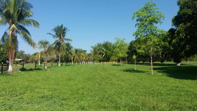 Imagem Imóvel com 3 Quartos à Venda, 57.000 m² em Zona Rural - Santana Do Araguaia Imagem Imóvel com 3 Quartos à Venda, 57.000 m² em Zona Rural - Santana Do Araguaia