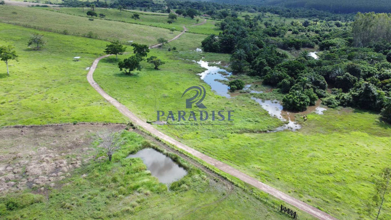 Imagem Fazenda à Venda, 9.750.000 m² em Zona Rural - Itanagra