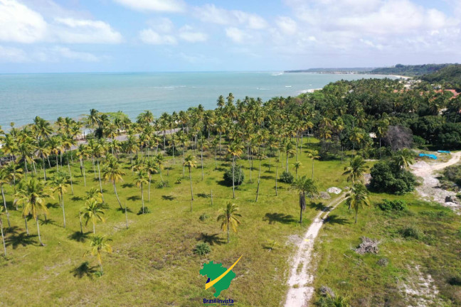 Imagem Terreno à Venda, 441.000 m² em Orla Norte - Porto Seguro Imagem Terreno à Venda, 441.000 m² em Orla Norte - Porto Seguro