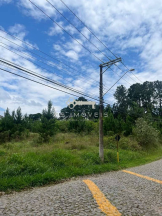 Imagem Terreno em Condomínio à Venda, 4 m² em Paisagem Renoir - Cotia