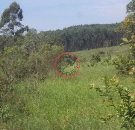 Imagem Chácara com 4 Quartos à Venda, 350 m² em Centro - Guararema
