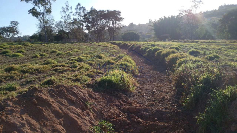 Imagem Fazenda à Venda, 6.690 m² em Vertentes Do Mamonal - Pirassununga Imagem Fazenda à Venda, 6.690 m² em Vertentes Do Mamonal - Pirassununga