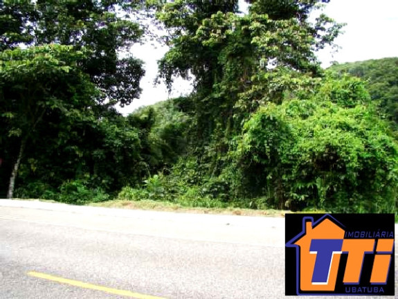 Imagem Terreno à Venda, 6.000 m² em Ubatumirim - Ubatuba