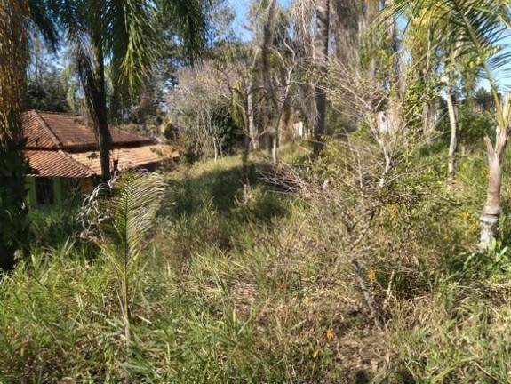 Imagem Chácara com 3 Quartos à Venda, 20.000 m² em São Roque Novo - Bofete Imagem Chácara com 3 Quartos à Venda, 20.000 m² em São Roque Novo - Bofete