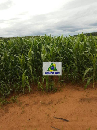 Imagem Fazenda à Venda, 63.000.000 m² em Zona Rural - São Romão Imagem Fazenda à Venda, 63.000.000 m² em Zona Rural - São Romão