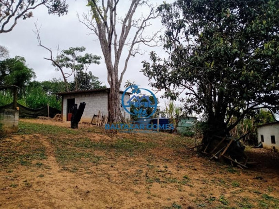 Imagem Imóvel com 5 Quartos à Venda, 16.000 m² em Cocuera - Mogi Das Cruzes