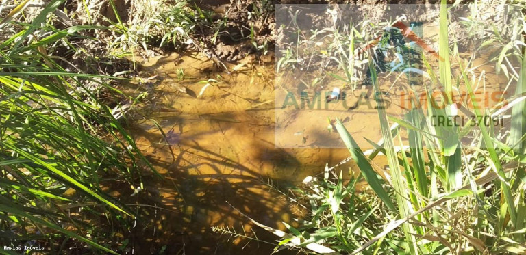 Imagem Fazenda à Venda, 64 m² em Fortuna De Minas