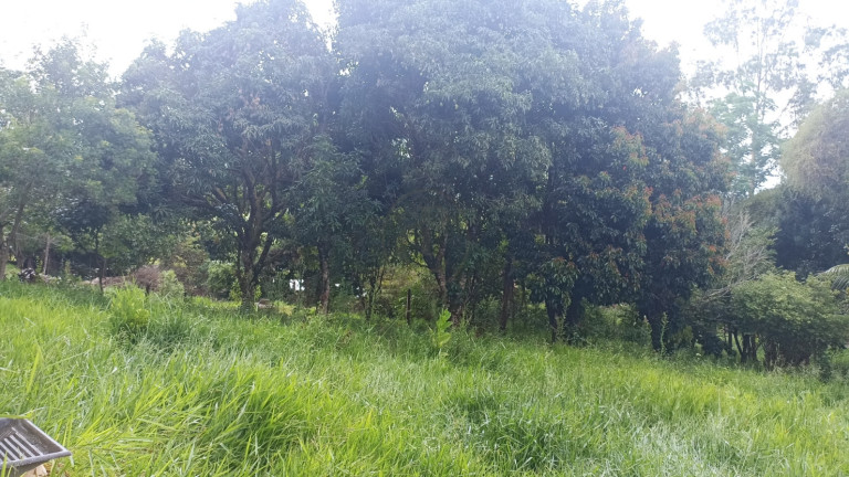 Imagem Chácara com 2 Quartos à Venda, 100 m² em Varjao - Paraibuna Imagem Chácara com 2 Quartos à Venda, 100 m² em Varjao - Paraibuna