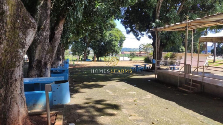 Imagem Imóvel com 10 Quartos à Venda, 67.595 m² em Recreio Do Funcionário Público - Goiânia Imagem Imóvel com 10 Quartos à Venda, 67.595 m² em Recreio Do Funcionário Público - Goiânia