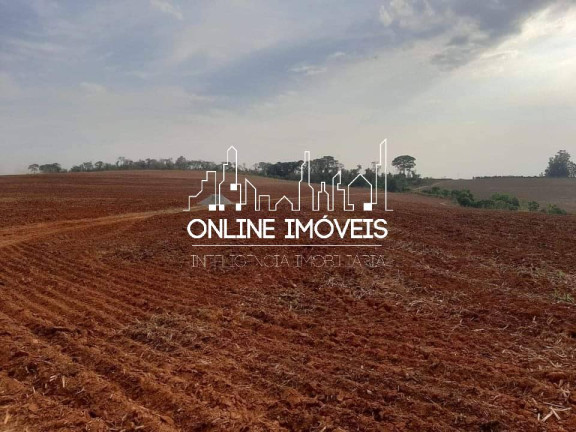 Imagem Chácara à Venda, 56 m² em Itapira Imagem Chácara à Venda, 56 m² em Itapira