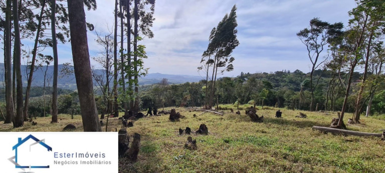 Imagem Imóvel para Alugar ou Temporada, 295.781 m² em Portal Da Serra - Santana De Parnaíba Imagem Imóvel para Alugar ou Temporada, 295.781 m² em Portal Da Serra - Santana De Parnaíba